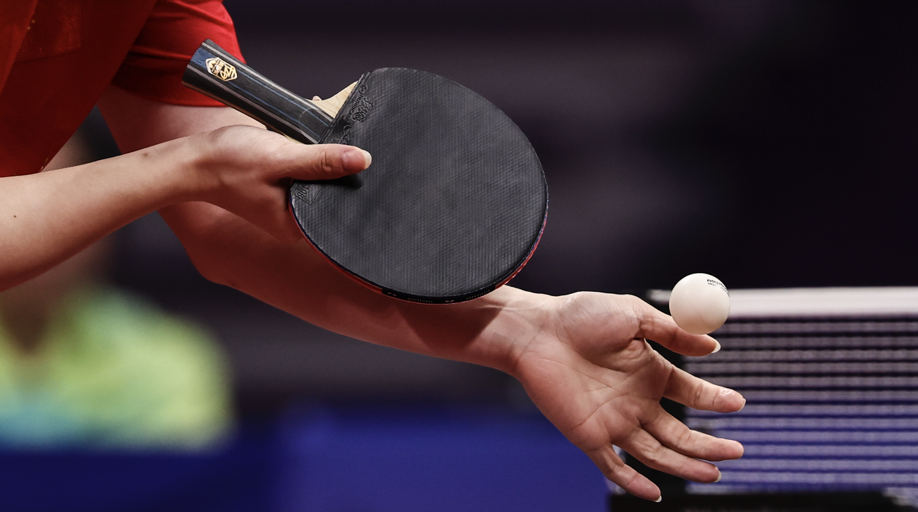 第十五届全运会乒乓球赛